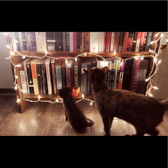 Hi I’m Jess! - Picture 2 of 4